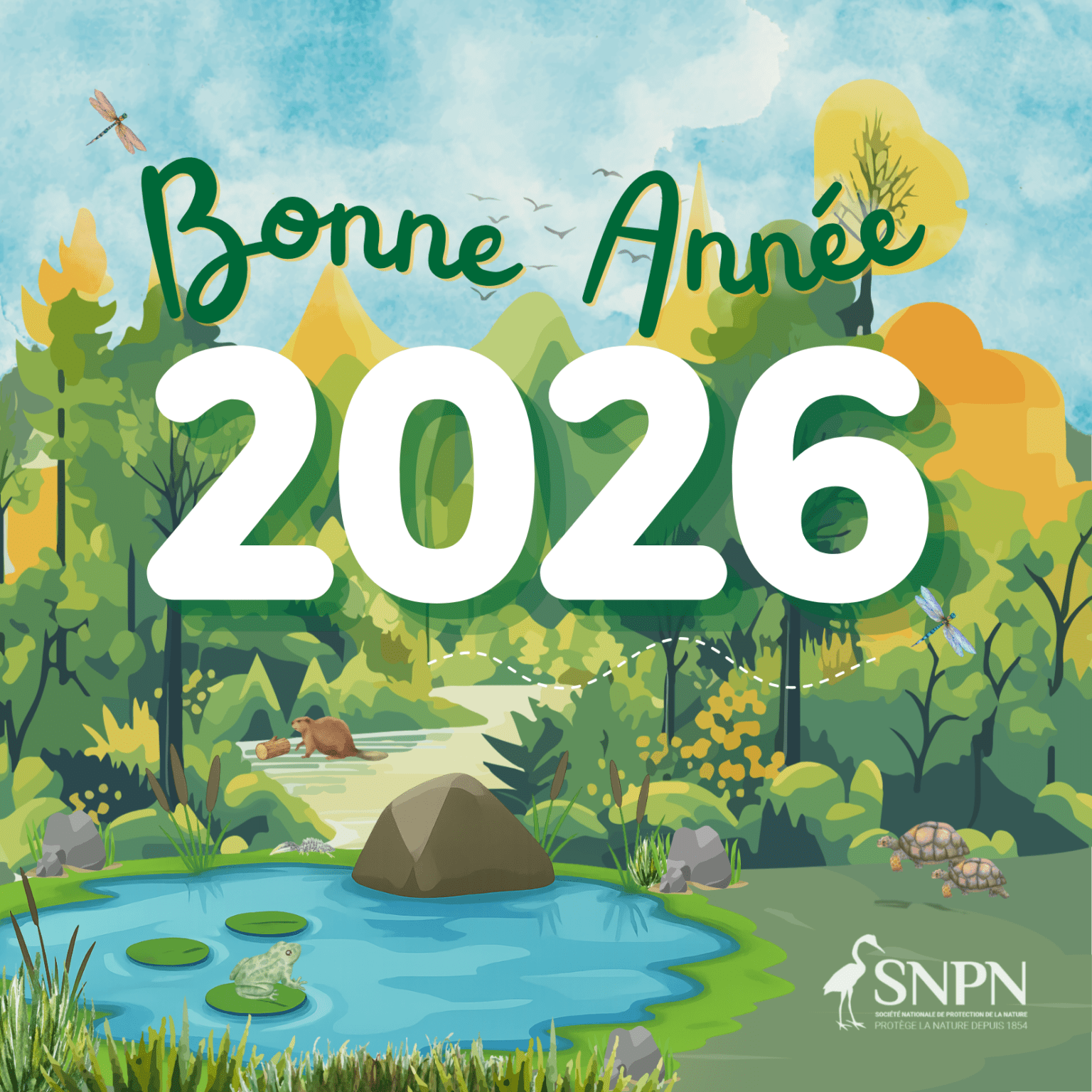 Bonne année 2026🌿 - Société Nationale de Protection de la Nature
