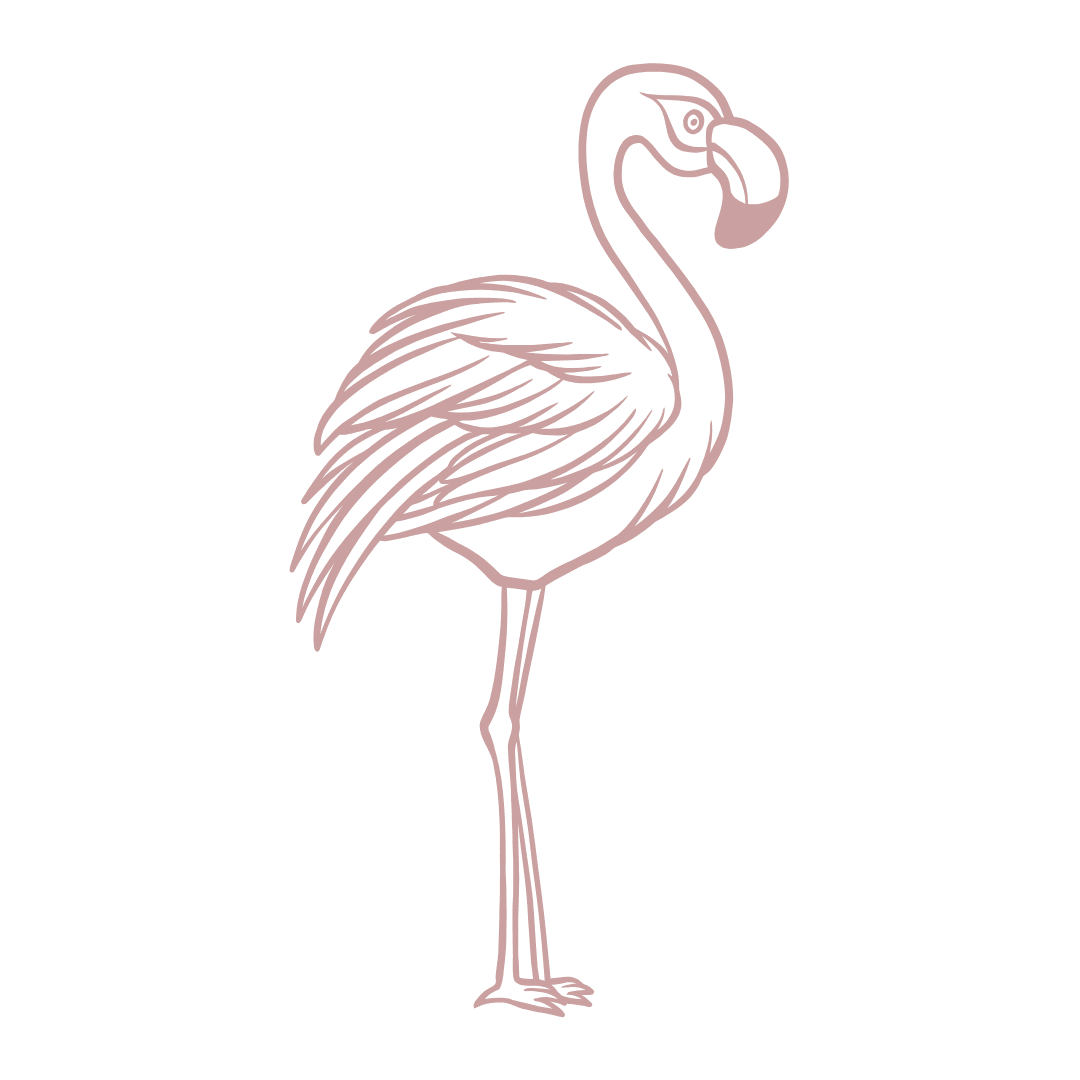 Réserve de Camargue