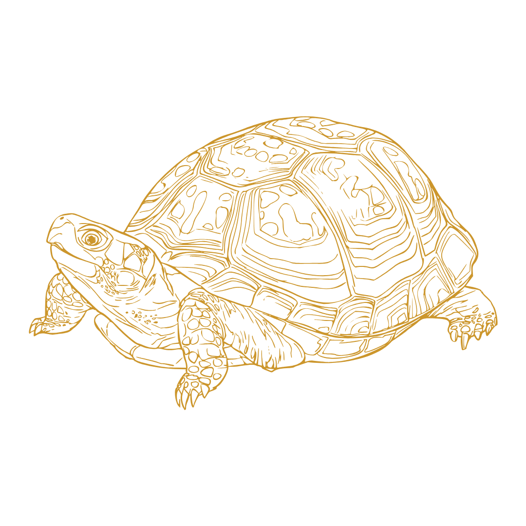 Réserve de la plaine des Maures