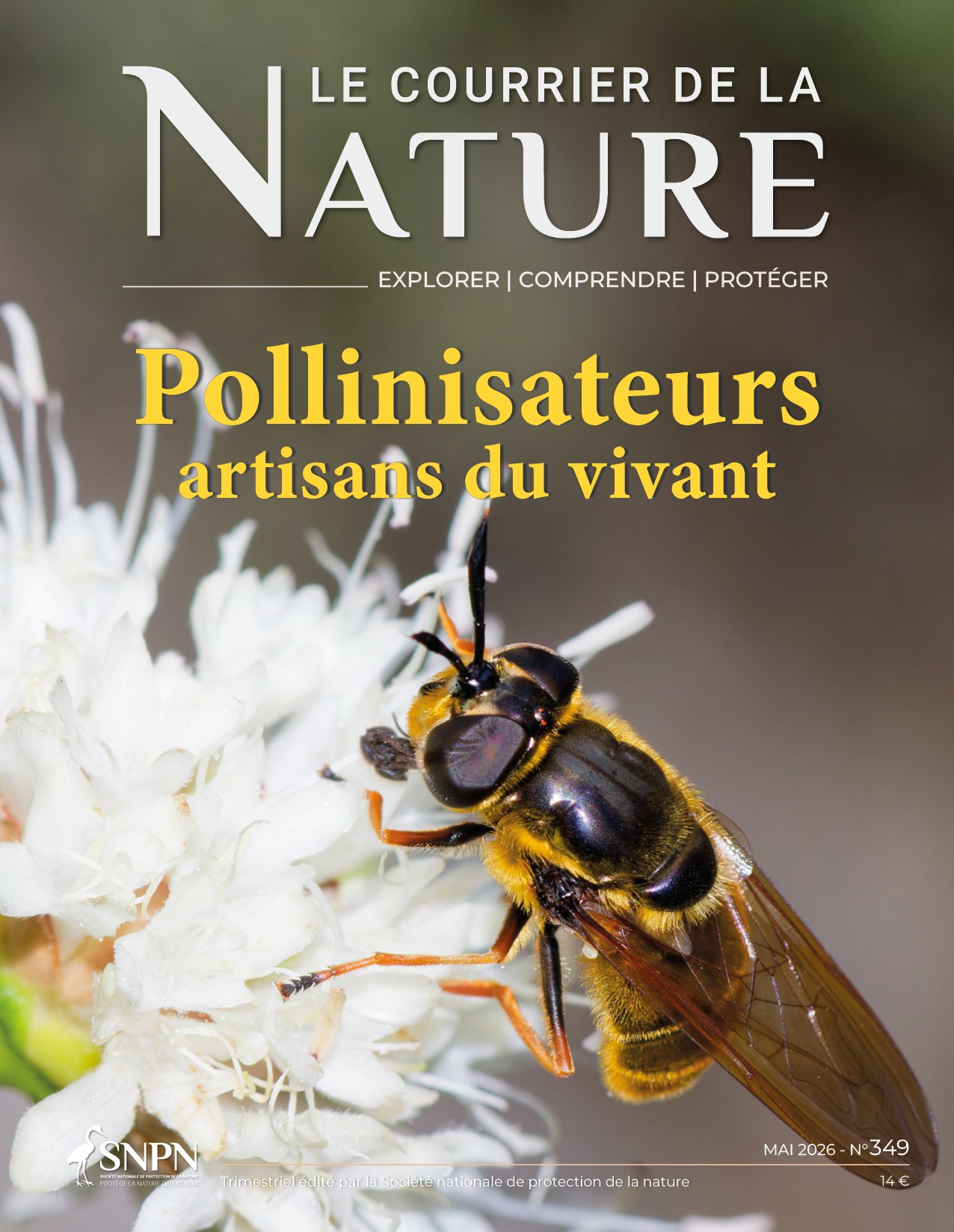 Couverture CLN Pollinisateurs 349