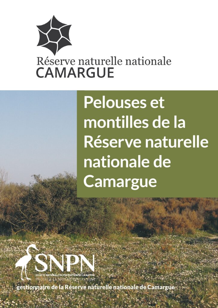 Synthèse – Pelouses et montilles de la RNNC